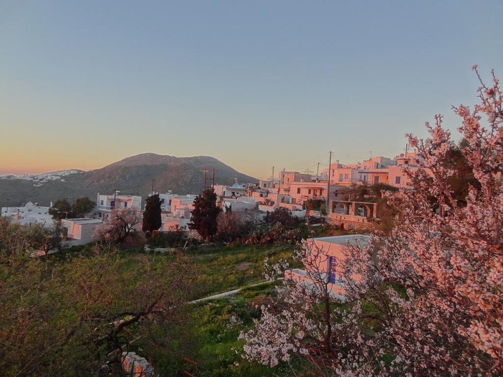 Villa Fenia Aegiali Bagian luar foto